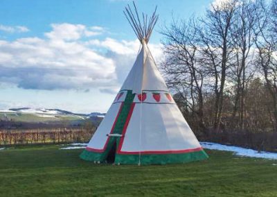 Wolf Glen Tipis