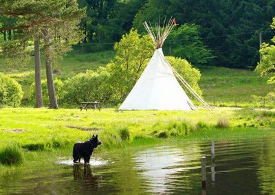 Wolf Glen Tipis