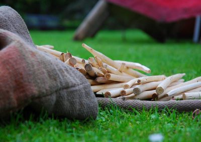 Wooden pegs